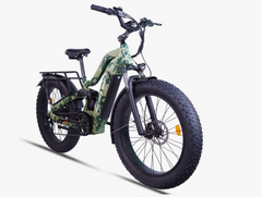 Bee Defender All-Terrain Adventure E-Bike-1