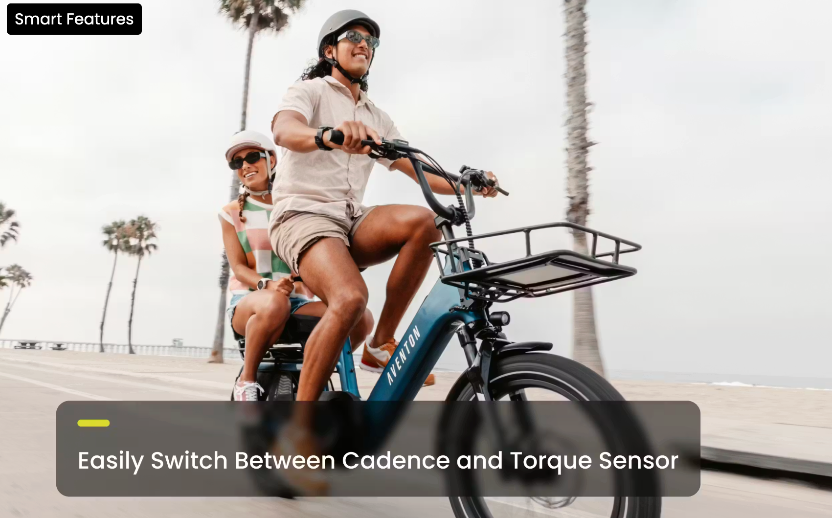 Aventon Abound SR Cargo E-Bike-3
