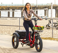 Triketan M-330F Folding E-Trike-4